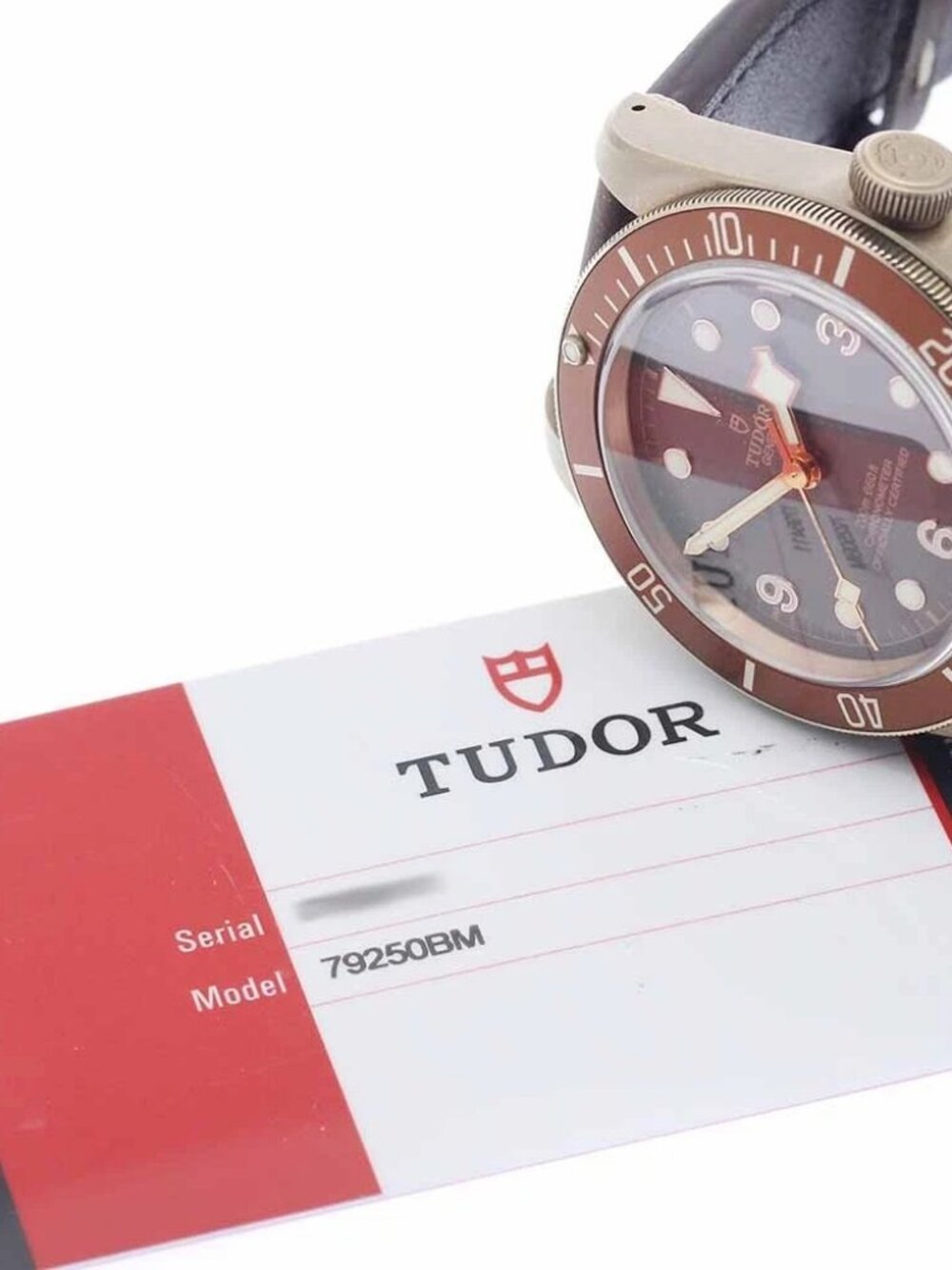 TUDOR Heritage Black Bay Bronze 79250BM Brown Dial Automatic Men's Watch_956092 - Picture 2 of 7